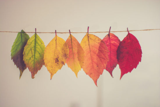 The seasons of life The seasons of life
