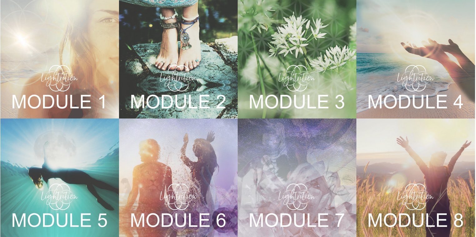 LYL Modules 8