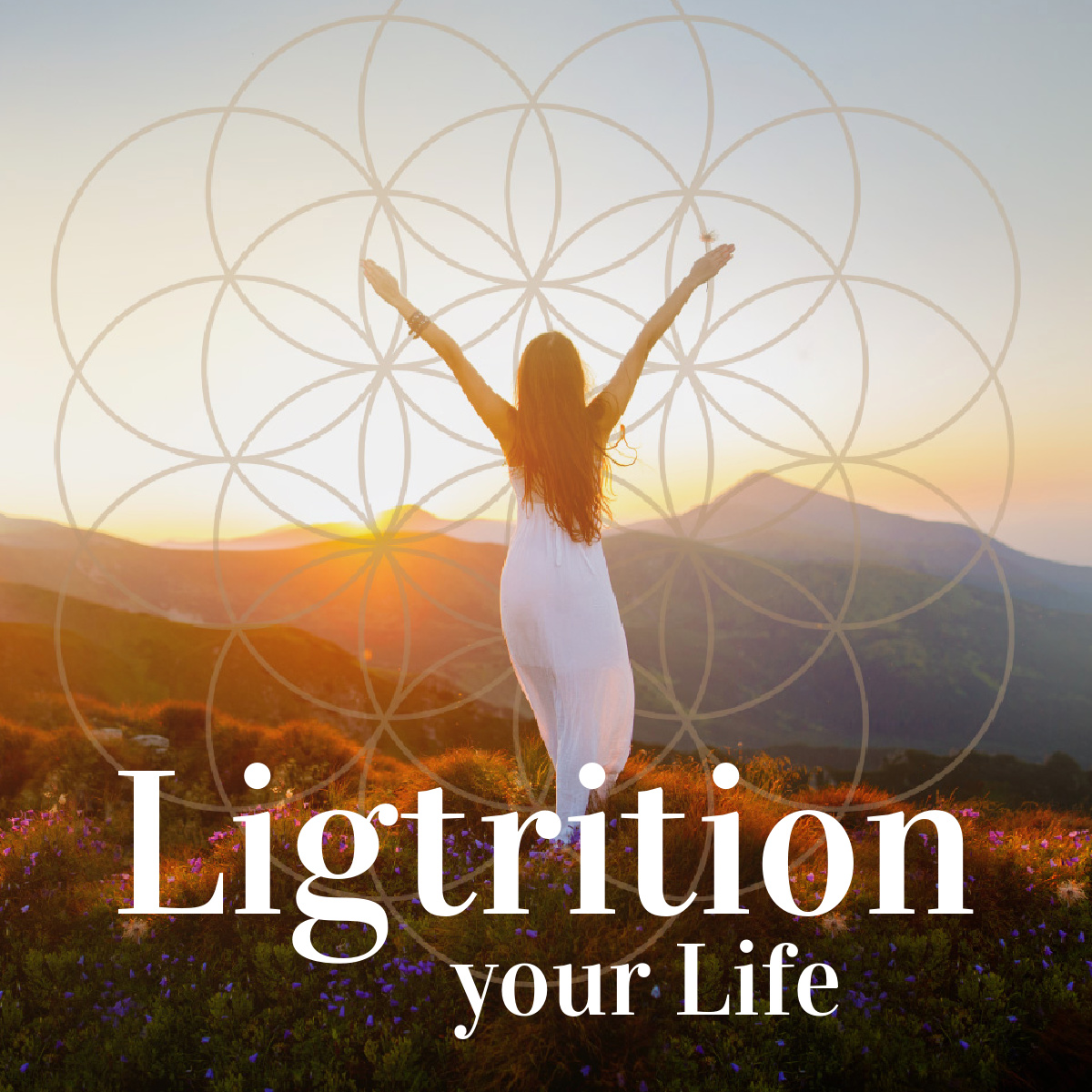 Lightrition- Flourish - 1200 v5