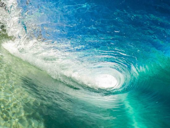 Water in Nature Structured Liquid Crystal