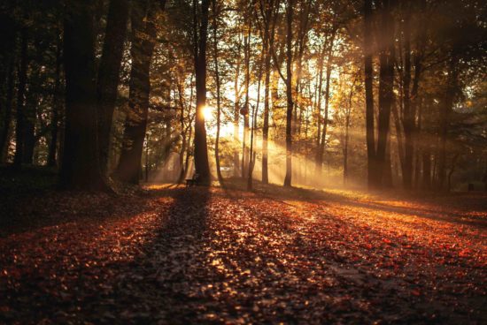 equinox september 2018 energy equinox september 2018 energy