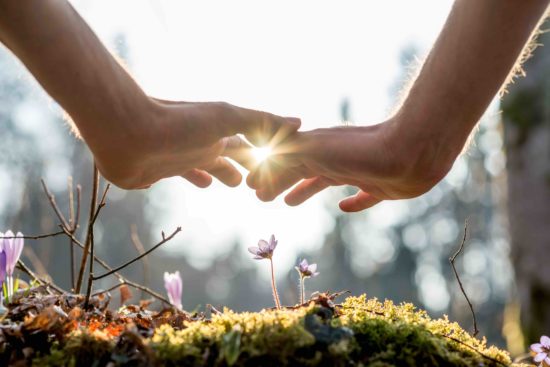 Plant Spirit Medicine For every illness there is a plant Plant Spirit Medicine For every illness there is a plant