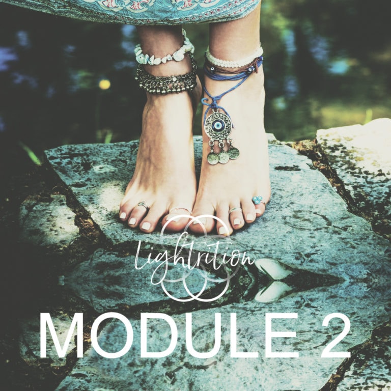 LYL Module 2 sq LYL Module 2 sq