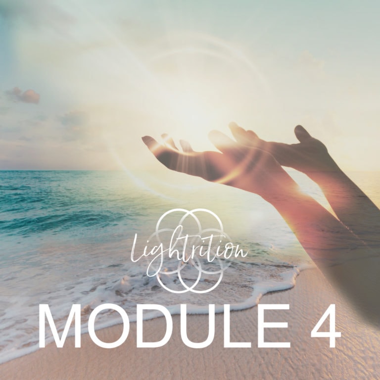 LYL Module 4 nw3 LYL Module 4 nw3