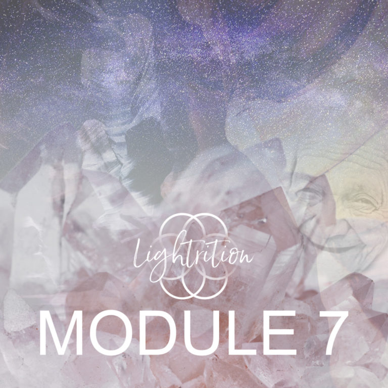 LYL Module 7 sq nw 777 LYL Module 7 sq nw 777