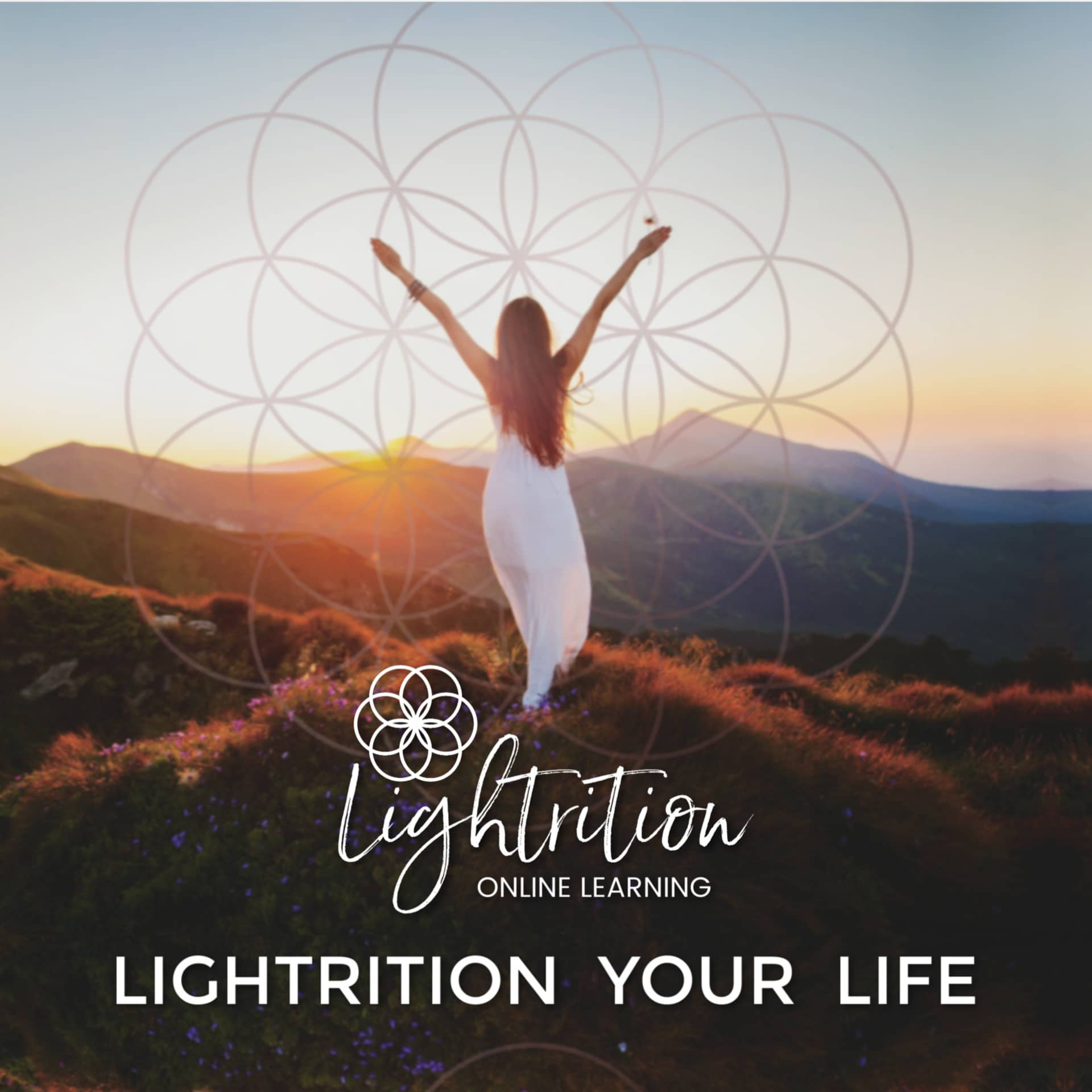 LTN Lightrition your Life OLL UPC 2020