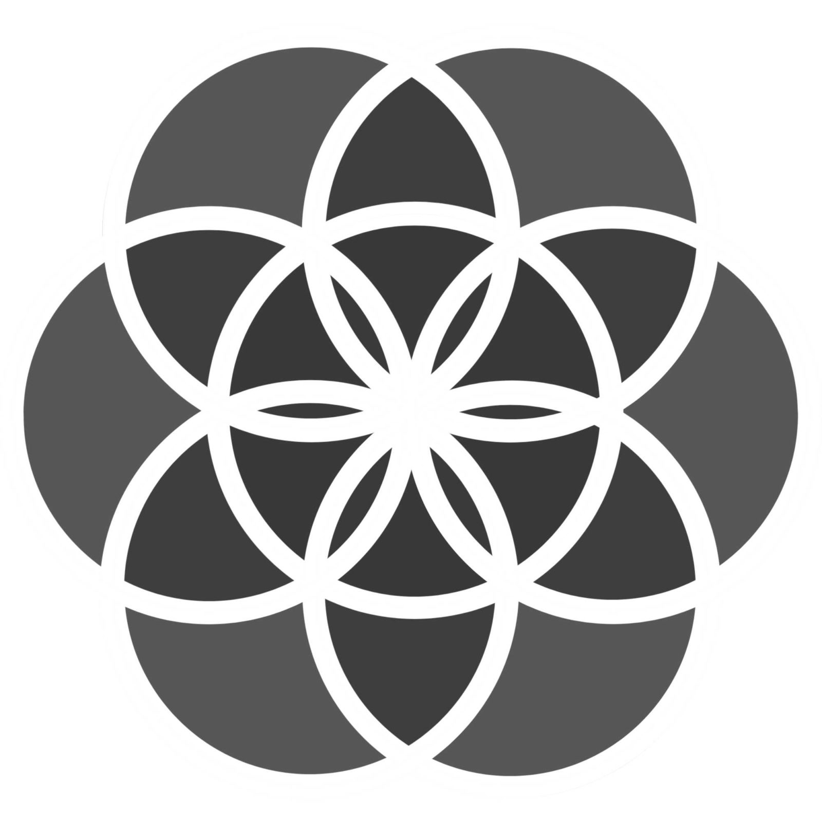 Lightritional Alchemy 8c(1) Lightritional Alchemy 8c(1)