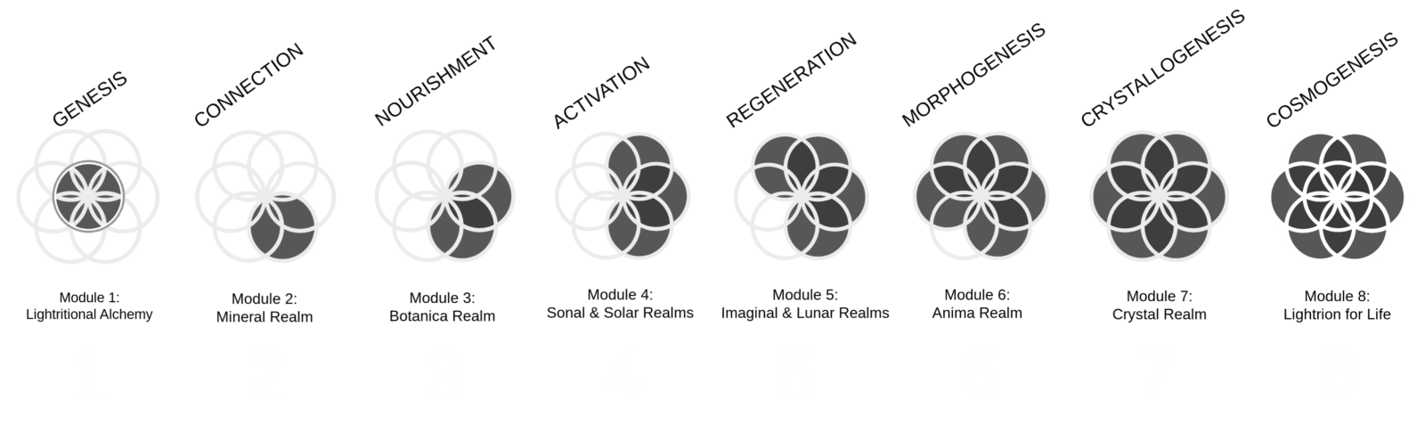 Lightritonal Alchemy 8 Phase Graphic NoTitle 2