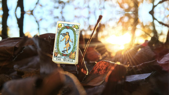 Leo New Moon August 2020 nw Leo New Moon August 2020 nw