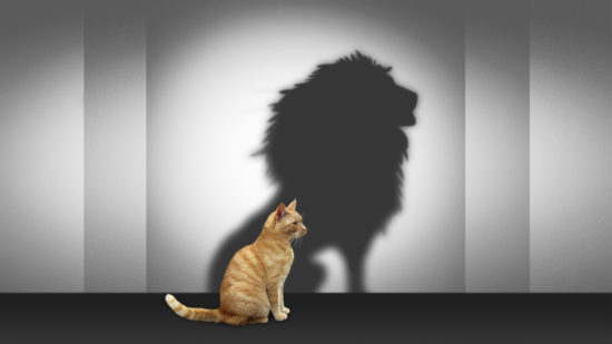 Full Moon in Leo January 2021 Full Moon in Leo January 2021
