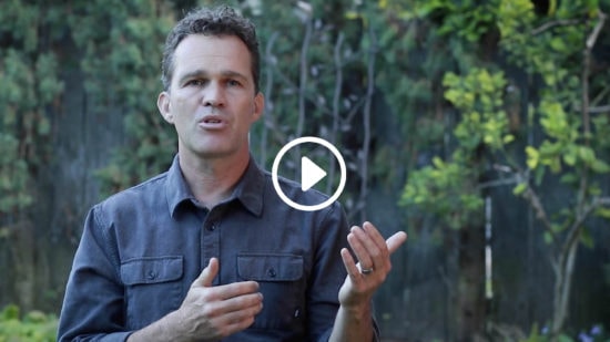 The Innate Immune System Zach Bush MD The Innate Immune System Zach Bush MD