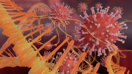 MRNA chains contained in a modern coronavirus vaccine MRNA chains contained in a modern coronavirus vaccine