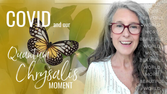COVID & our Quantum Chrysalis Moment COVID & our Quantum Chrysalis Moment