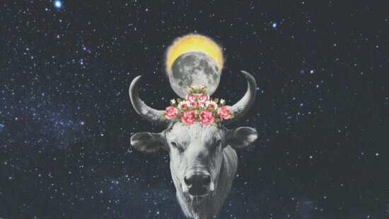 New Moon Taurus April May 2022 Solar Eclipse New Moon Taurus April May 2022 Solar Eclipse