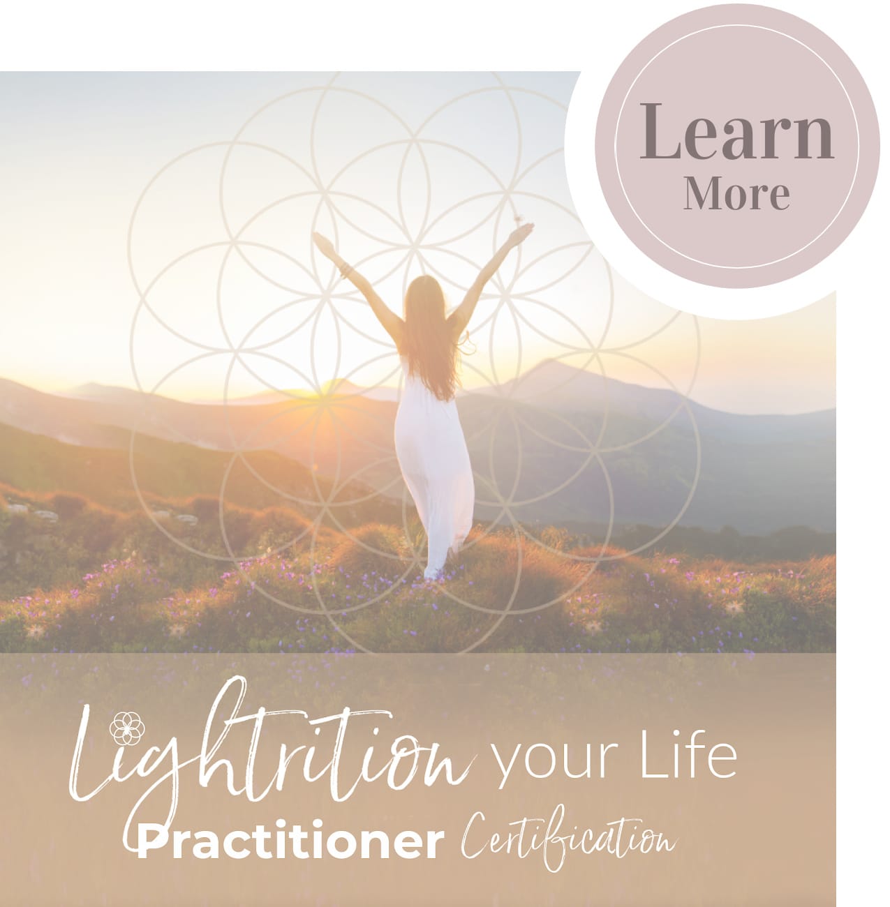 Lightrition Practitioner Certification - Catalogue v77