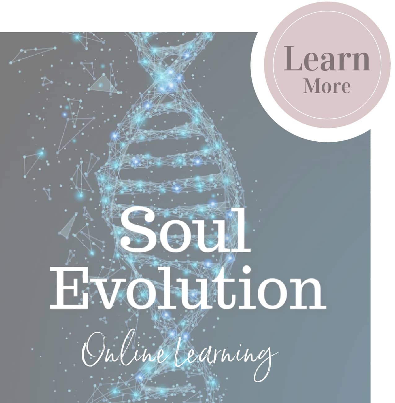 Soul Evolution - Learn More