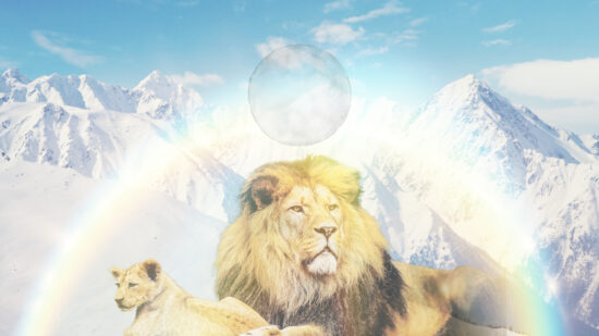 Leo New Moon July 2022 Leo New Moon July 2022