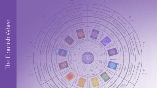The Flourish Wheel - Introduction - v2